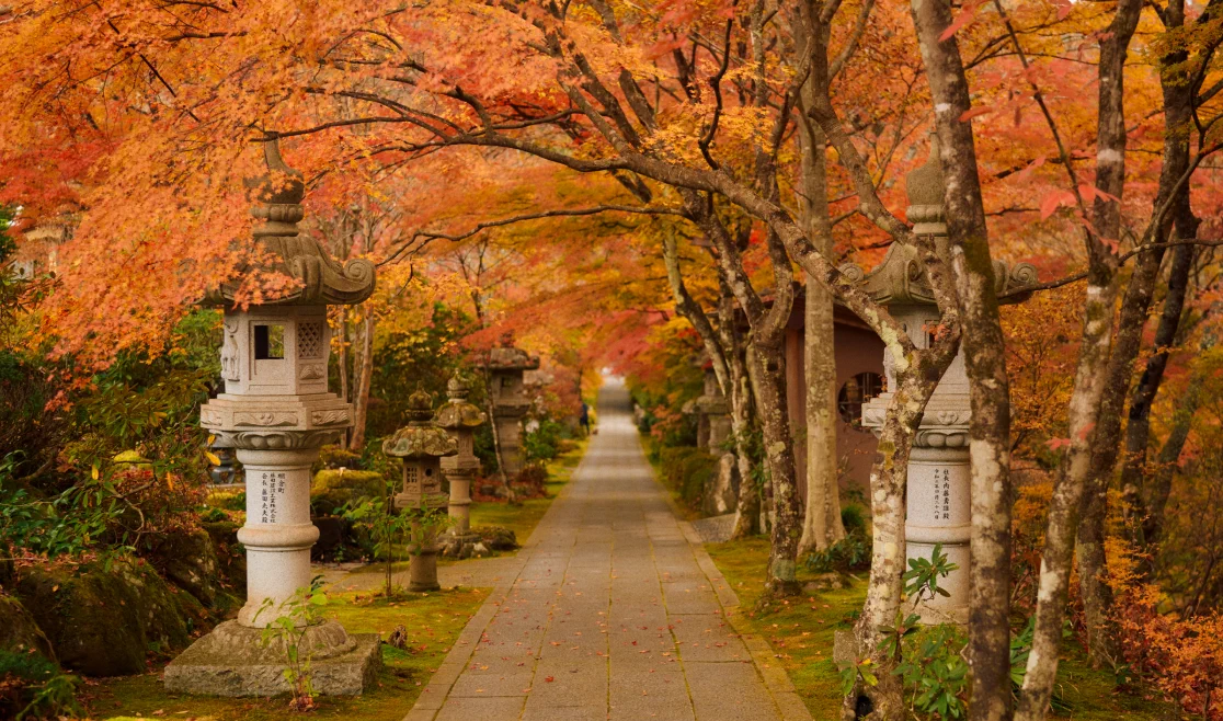 当山の紅葉
